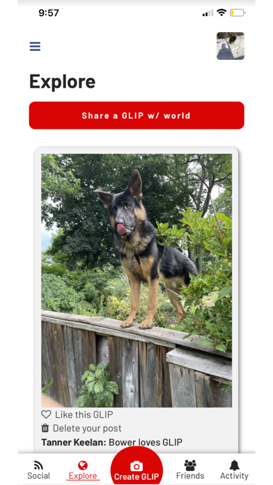 GLIP Screenshot