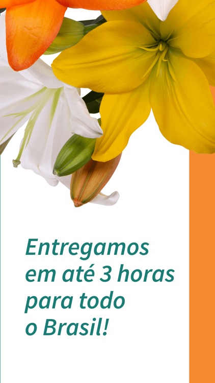 Nova Flor Floricultura Online