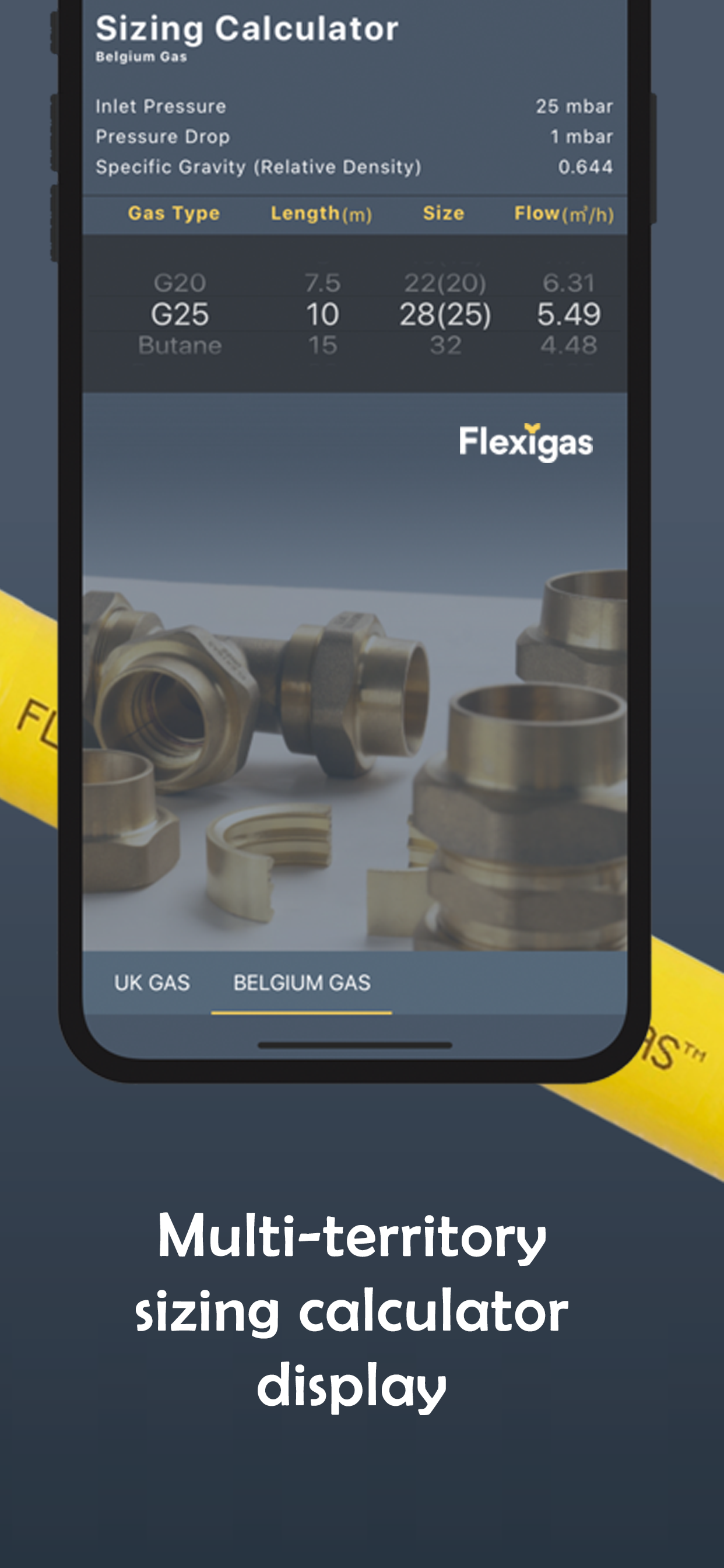 Flexigas Europe Sizing Tool