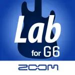 Handy Guitar Lab for G6 App Problems