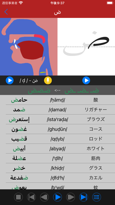 アラビア語の発音 - 学習アラビアの音声と文字のおすすめ画像2