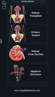 urinary system iphone resimleri 3