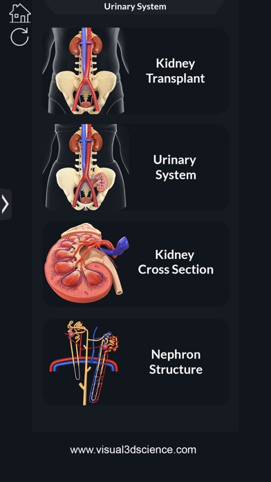 Urinary Systemのおすすめ画像3