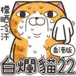 白爛貓 22 (HK) App Support