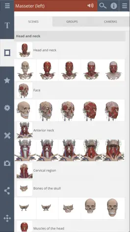 Game screenshot Primal's 3D Head & Neck apk