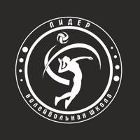 Волейбольная школа logo