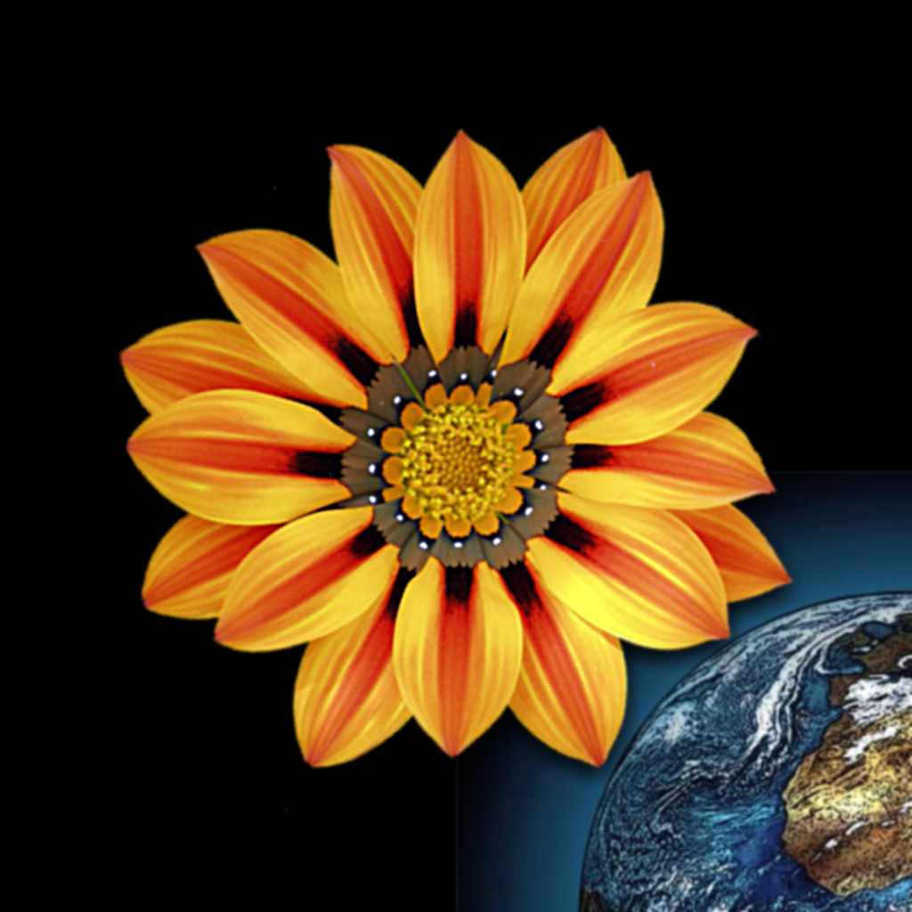 Get Web Images for iOS, iPhone, iPad Aso Report