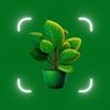 Plant Identifier, Plant Care icon