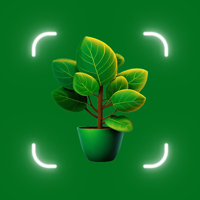 Plant Identifier Plant Care