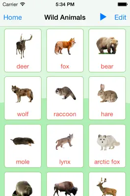 Game screenshot Animals Learning Cards apk