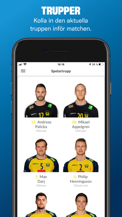 Gameday - Handbollslandslaget Screenshot