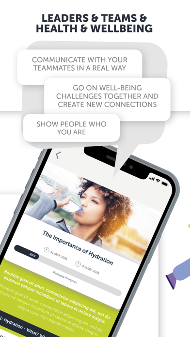 Pavelka Screenshot