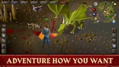 Screenshot from Old School RuneScape