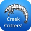 Creek Critters icon
