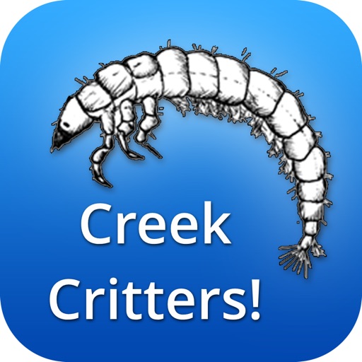 Creek Critters