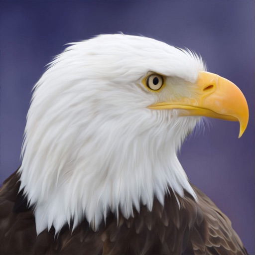 Eagle Bird Wild Life Sim Games icon