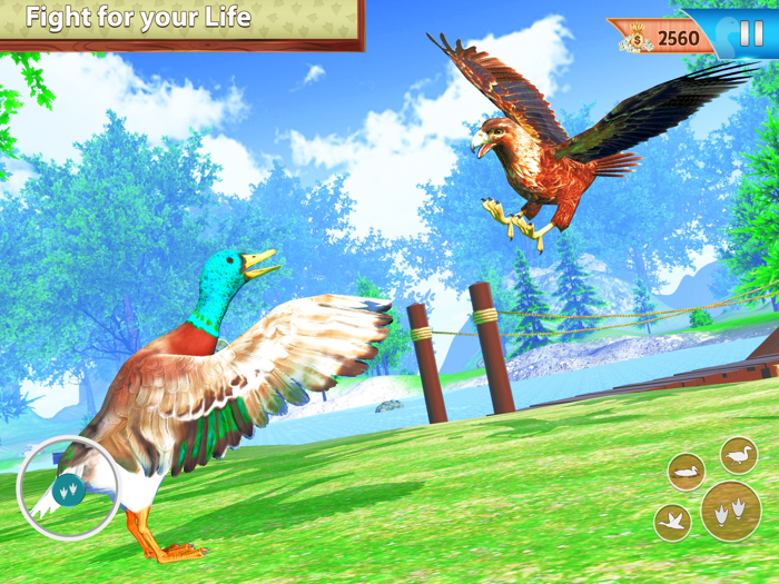 Flying duck family simulator