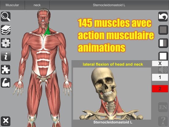 Screenshot #5 pour 3D Anatomy