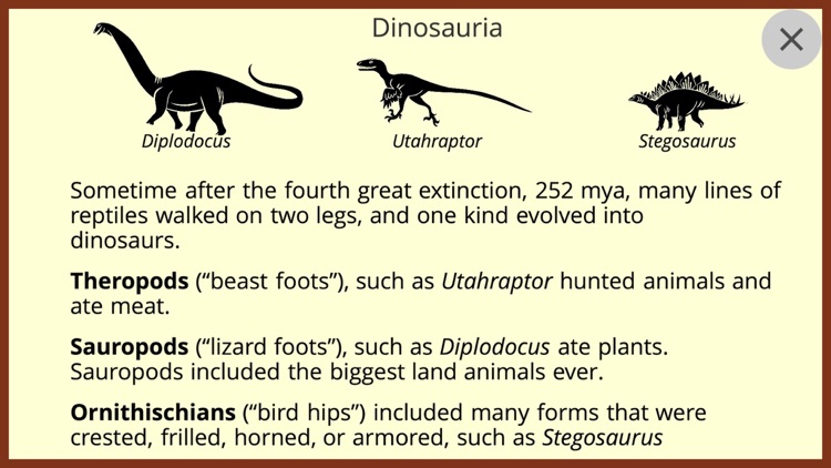 Clades Solo screenshot-6