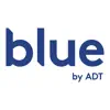 Blue by ADT Positive Reviews, comments