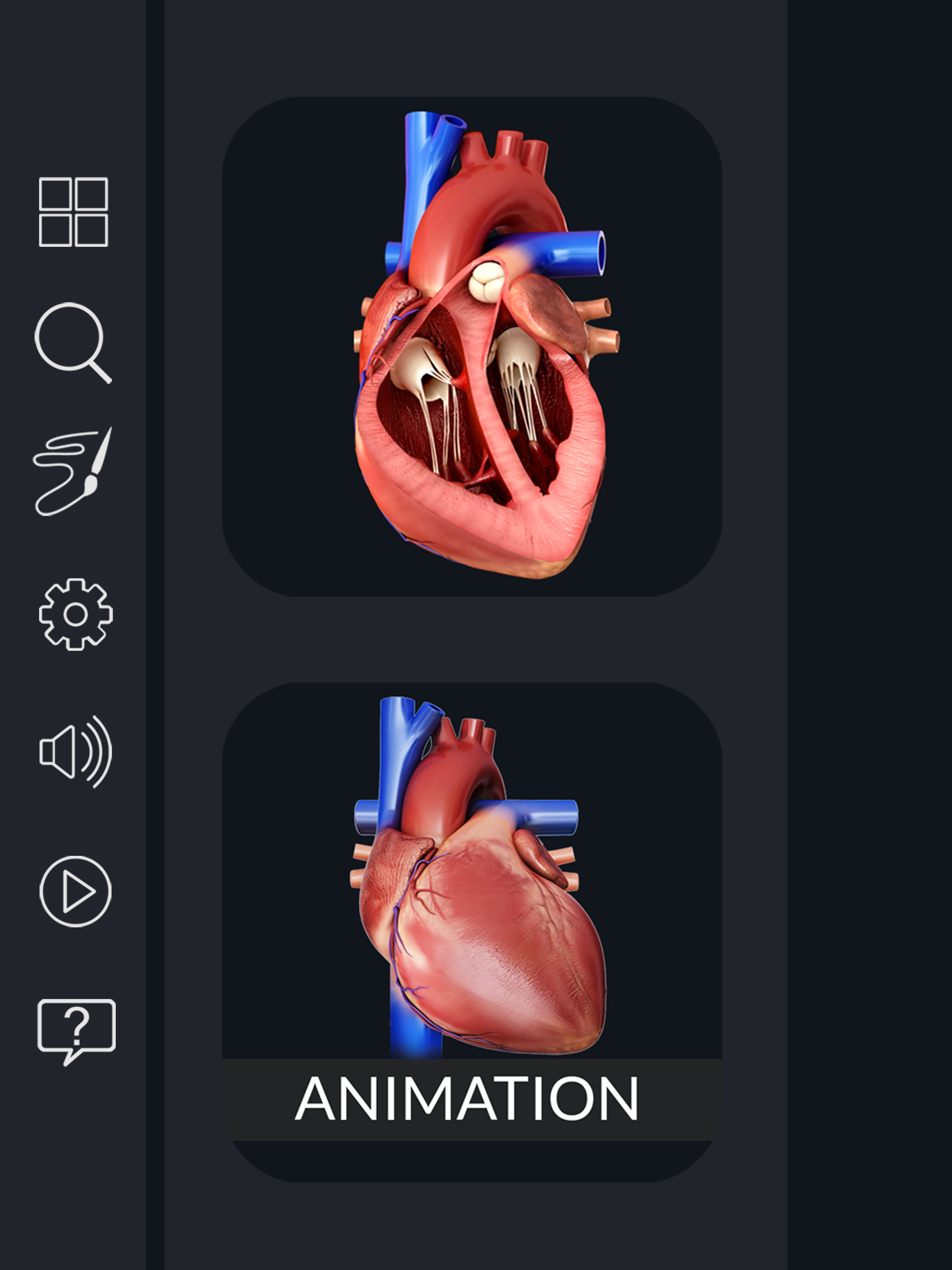 My Heart Anatomy screenshot 7