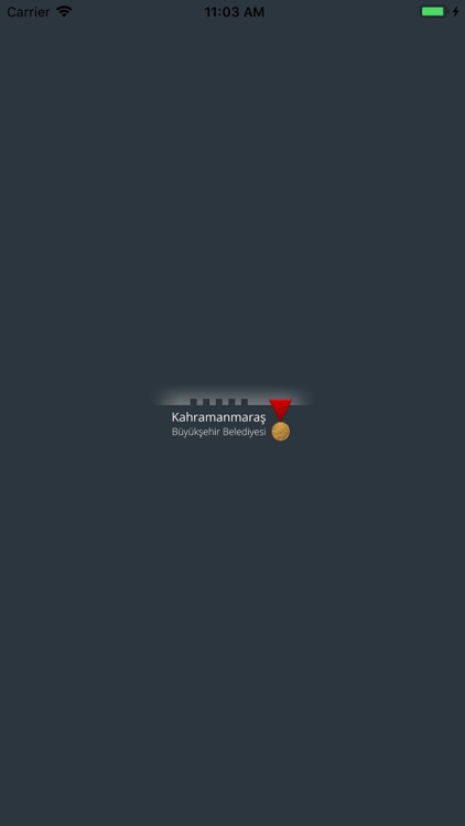 Araç Talep screenshot-4