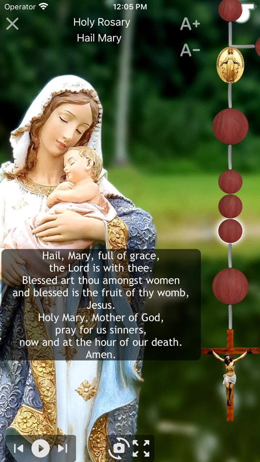 #3. Daily Holy Rosary Prayer App (iOS) 由: Tomasz Powalka