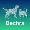 Dechra Dog and Cat Anaesthesia - Dechra Veterinary Products LLC
