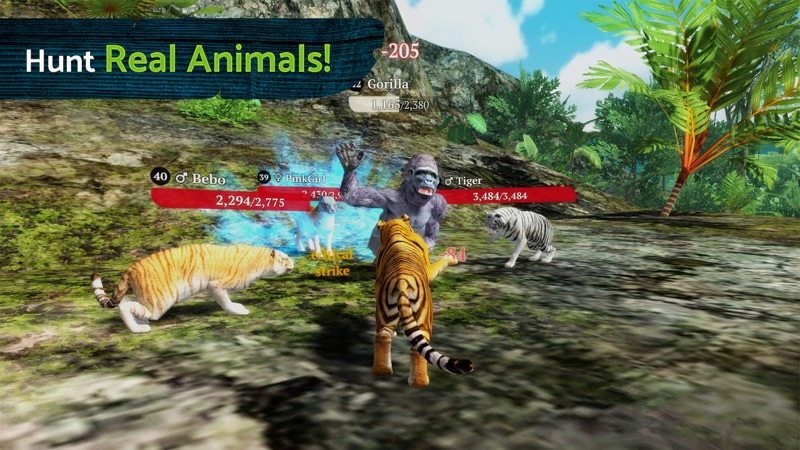 The Tiger Online RPG Simulator screenshot 6