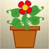FLWR NOW icon