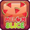 Melon Slice