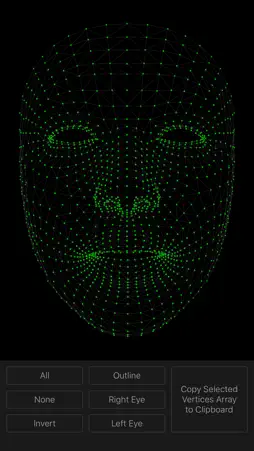 Face Mesh screenshot 1