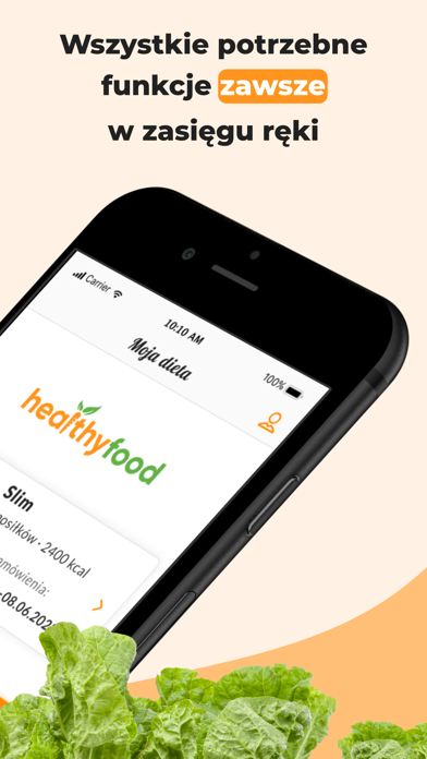Healthy Food Screenshot
