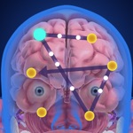 Download Idle Nerves app