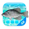 Aquarium 4K - Live Wallpaper delete, cancel