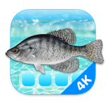 Download Aquarium 4K - Live Wallpaper app