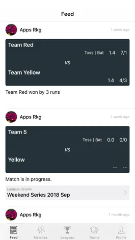 Game screenshot CricketSB apk
