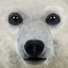 Ultimate Arctic Simulator icon