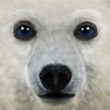 Ultimate Arctic Simulator - Gluten Free Games