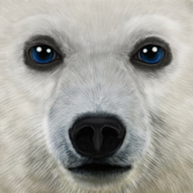 Snímky obrazovky (5) Ultimate Arctic Simulator