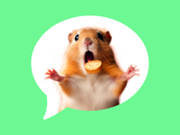 Message Stickers  Hamster