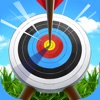 Archery Pro - Bow and Arrow icon
