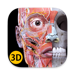 解剖学 - 3Dアトラス 