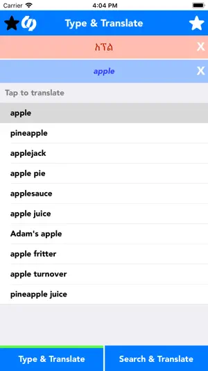 English to Amharic Translator screenshot 1