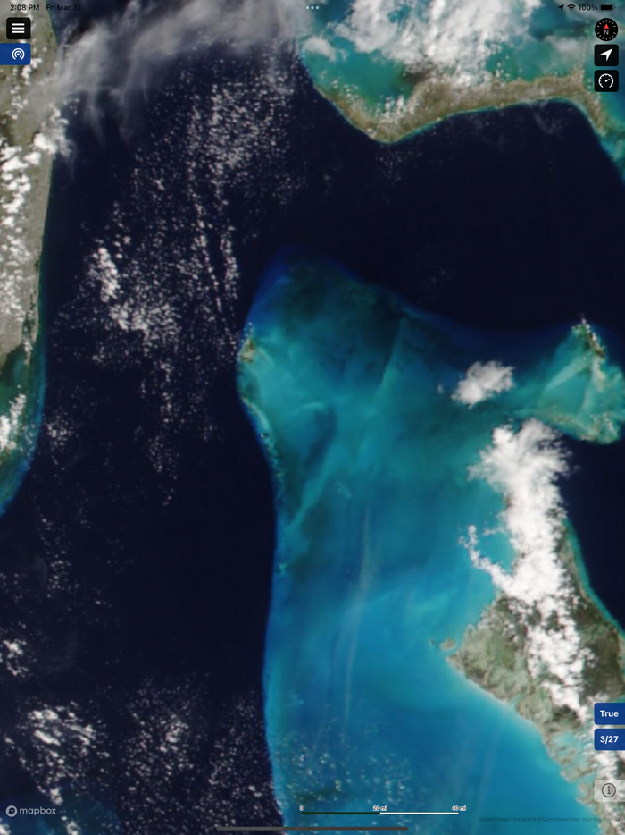 BigBlue Offshore Fishing