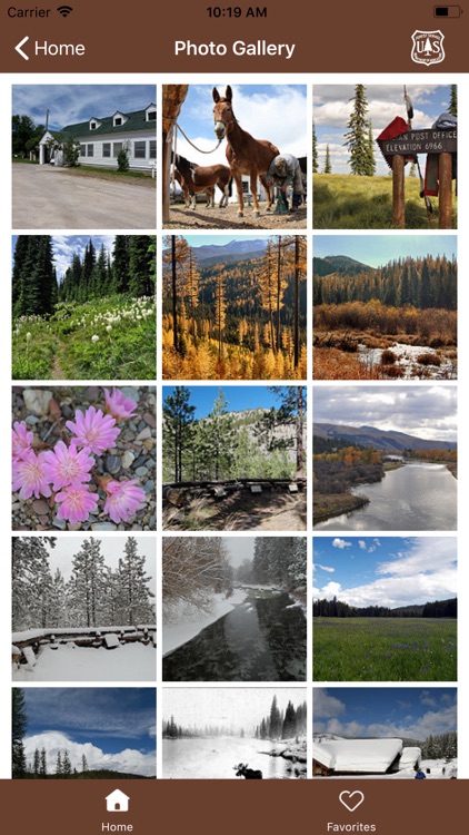 Lolo National Forest screenshot-5