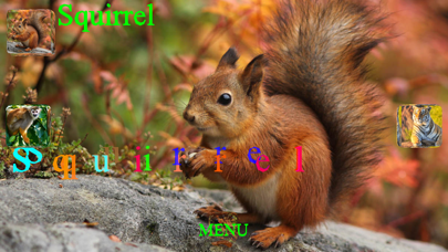 Animal Touch Sounds Screenshot