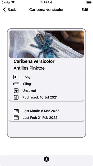 TrazyCarantulas Screenshot