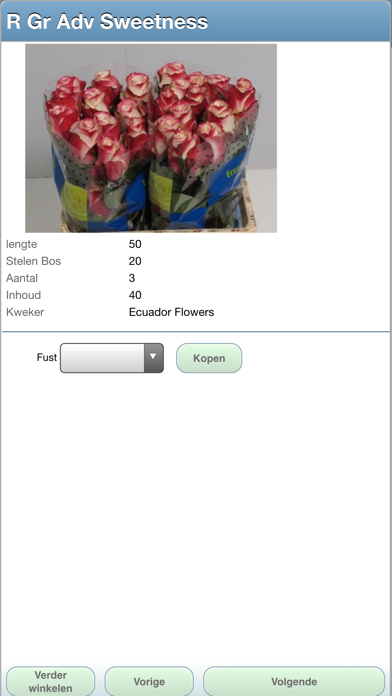 JP Hogewoning BV Screenshot