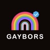 The Gaybors icon